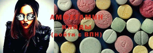 индика Абаза