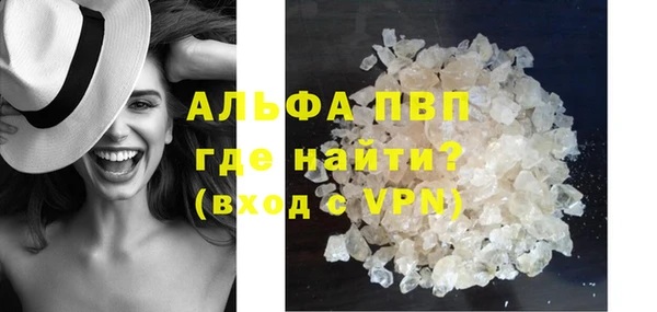 индика Абаза