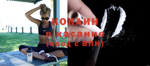 индика Абаза