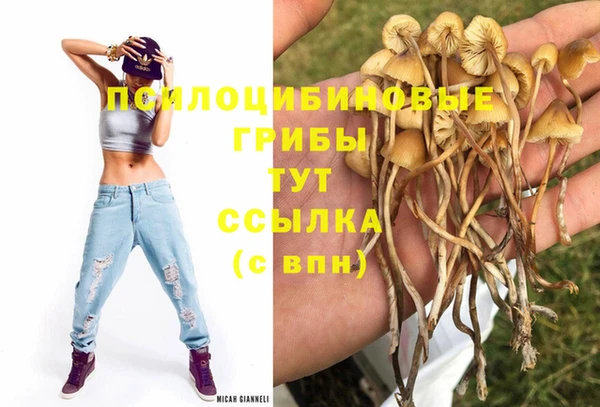 герыч Абинск