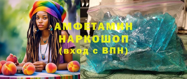 индика Абаза