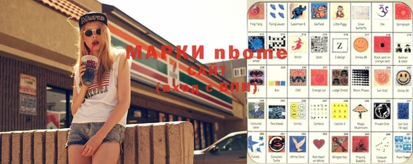 индика Абаза