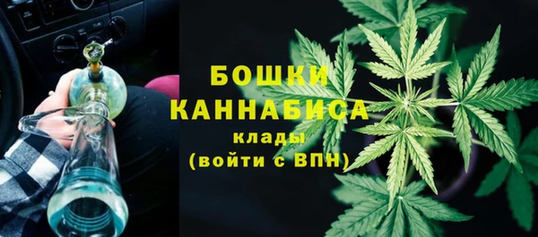 ПСИЛОЦИБИНОВЫЕ ГРИБЫ Абдулино
