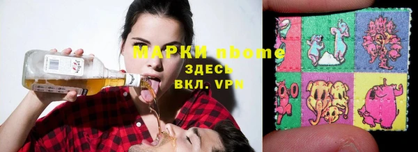 индика Абаза