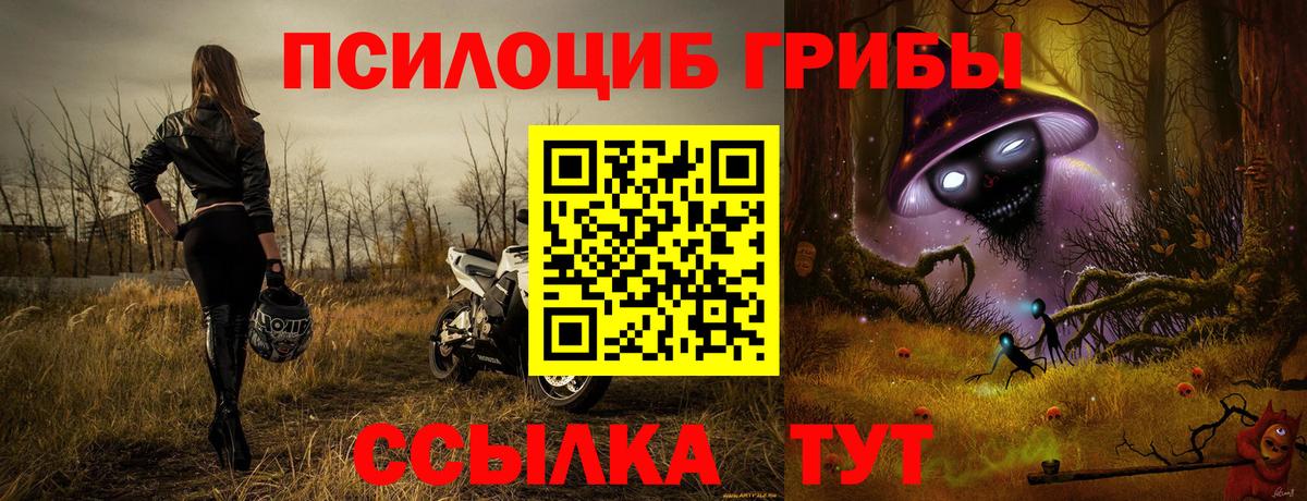 Мурино  Галлюциногенные грибы MAGIC MUSHROOMS  Вход с VPN 