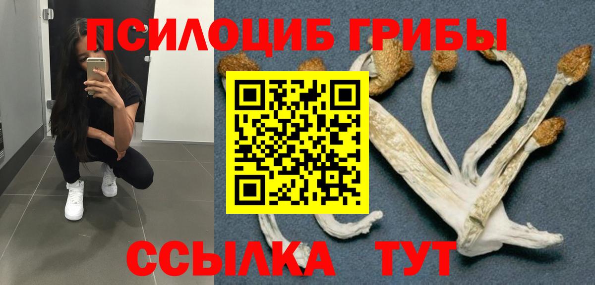 Мефедрон кристаллы  Мурино  Кокаин  Вход с VPN  ЭКСТАЗИ  Канабис  Гашиш  ГАШИШ 